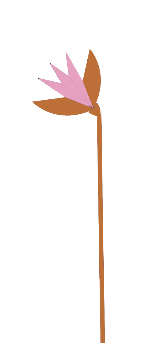 Strelitzia bent